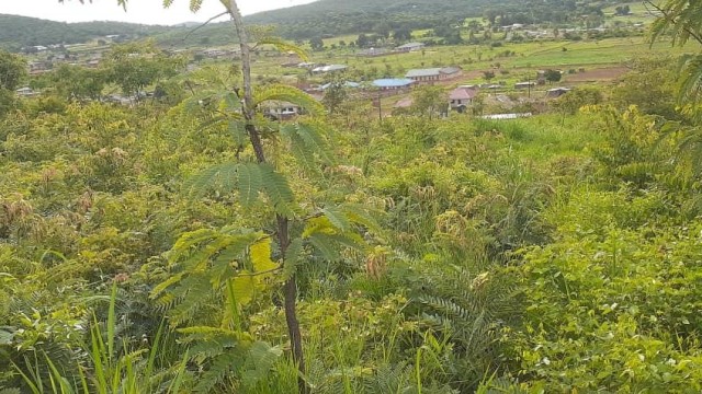 Land for Sale in Mazowe