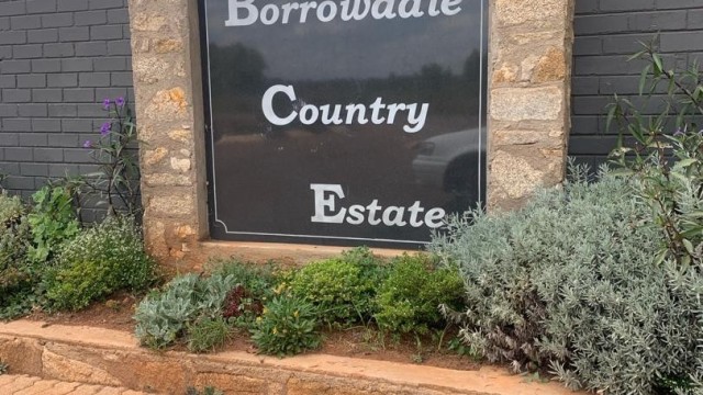 Stand for Sale in Borrowdale