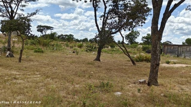Stand for Sale in Marondera