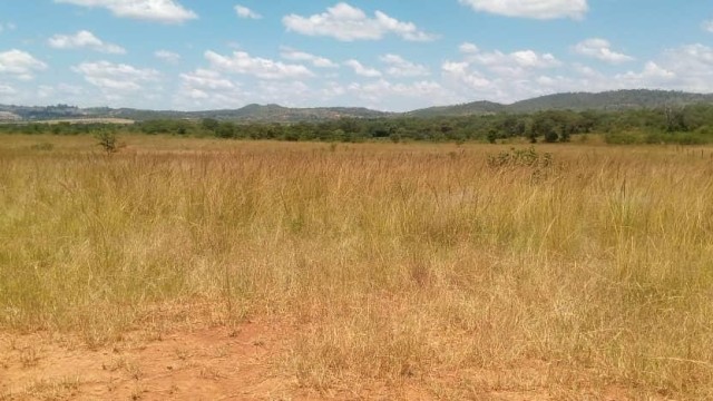 Stand for Sale in Mazowe