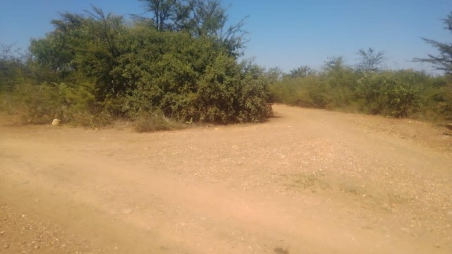 Land for Sale in Chegutu