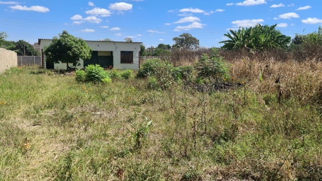 Land for Sale in Mount Pleasant