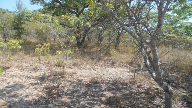 Land for Sale in Arcturus