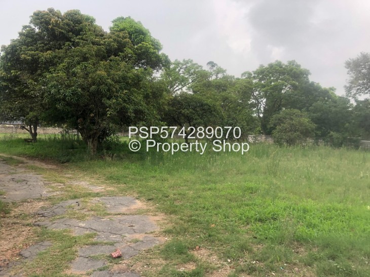 Land for Sale in Greendale