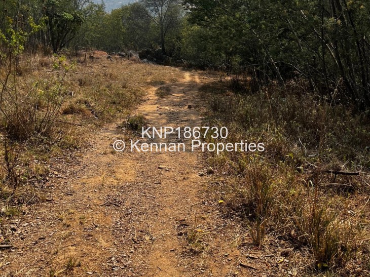 Land for Sale in Juliasdale