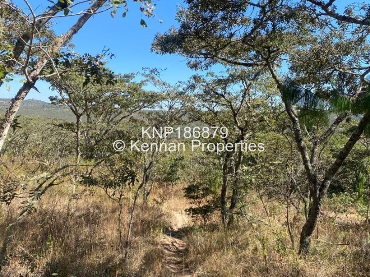Land for Sale in Juliasdale