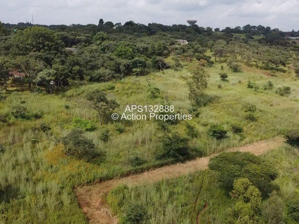 Land for Sale in Hogerty Hill