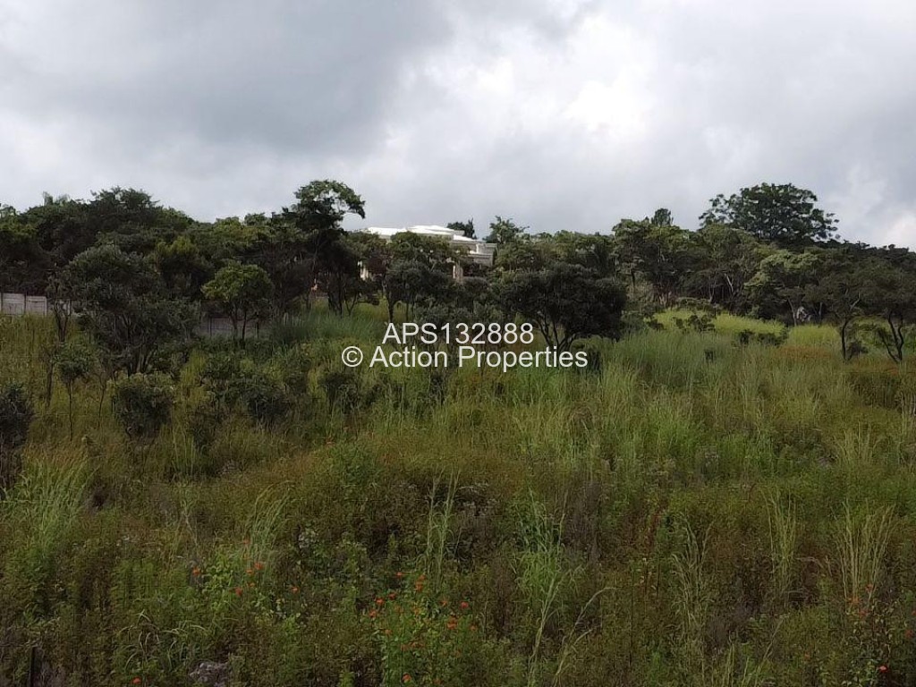 Land for Sale in Hogerty Hill
