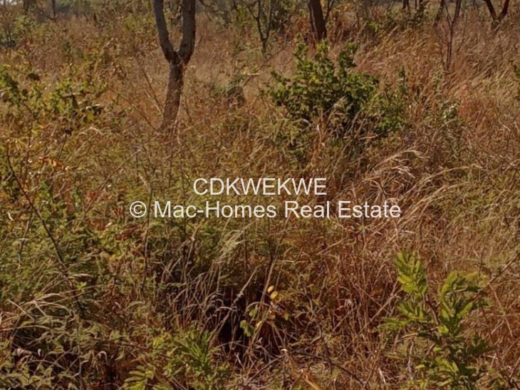 Farm for Sale in KweKwe