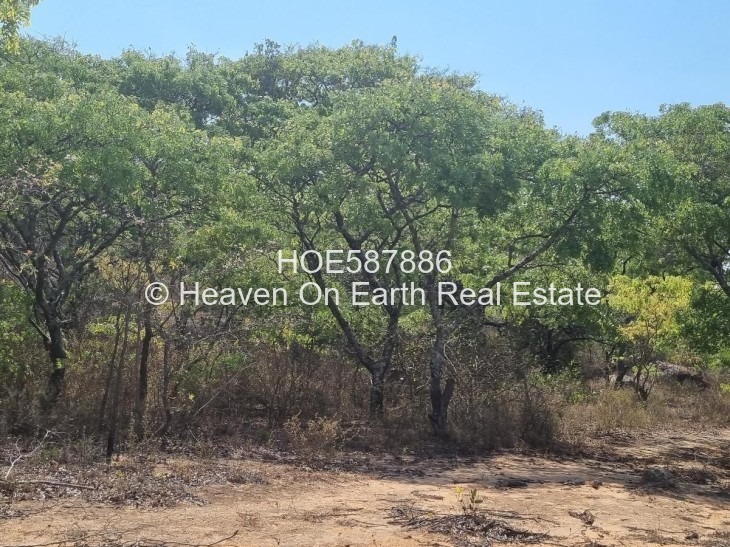 Land for Sale in Selous