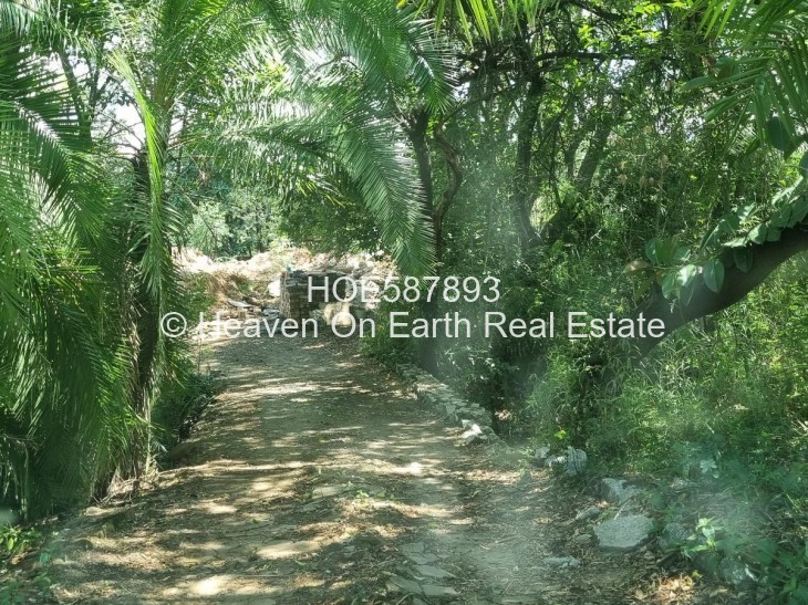 Land for Sale in Newlands