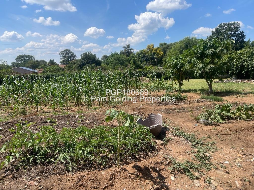 Stand for Sale in Hillside Byo